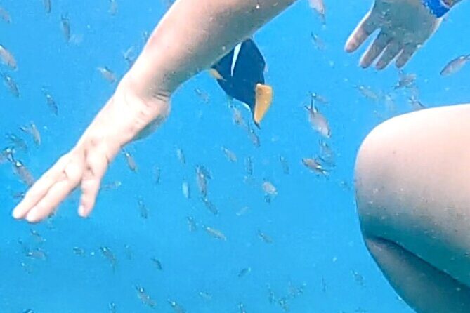 Punta Mita Fishing Experience and Snorquel at Secluded Reefs - Frequently Asked Questions