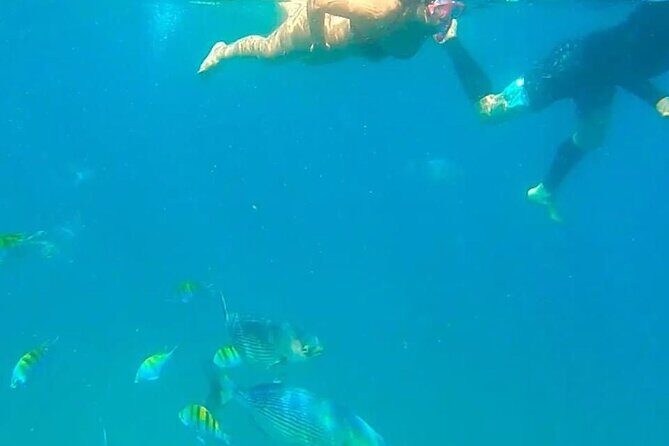 Punta Mita Fishing Experience and Snorquel at Secluded Reefs - Final Thoughts