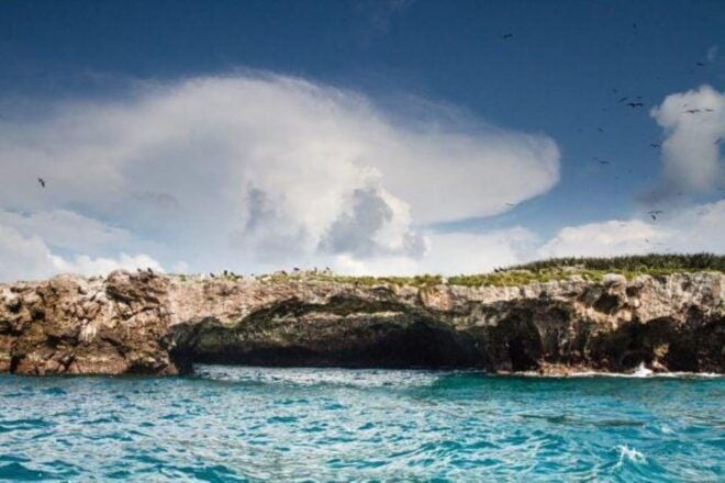 Punta Mita: Private Boat Tour to the Hidden Beach - Blue-footed Booby Birds