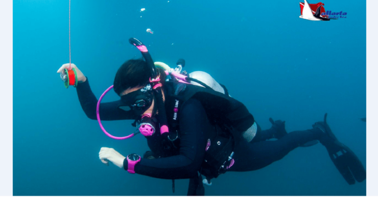 Punta Mita: Scuba Diving Adventure in Islas Marietas - Good To Know