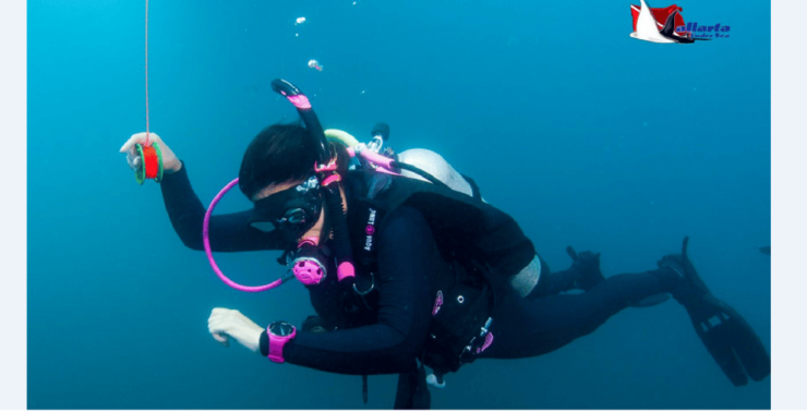 Punta Mita: Scuba Diving Adventure in Islas Marietas - Diving Experience