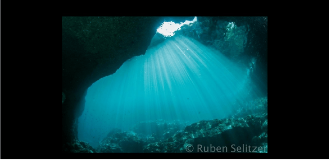 Punta Mita: Scuba Diving Adventure in Islas Marietas - Logistical Details