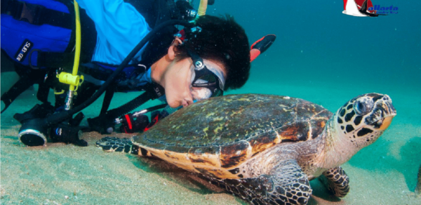 Punta Mita: Scuba Diving Adventure in Islas Marietas - Gear and Equipment