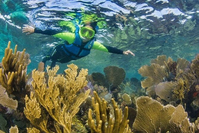 Punta Nizuc Coral Reef Snorkel With Underwater Museum of Art - Cancun - Cancellation Policy and Refunds