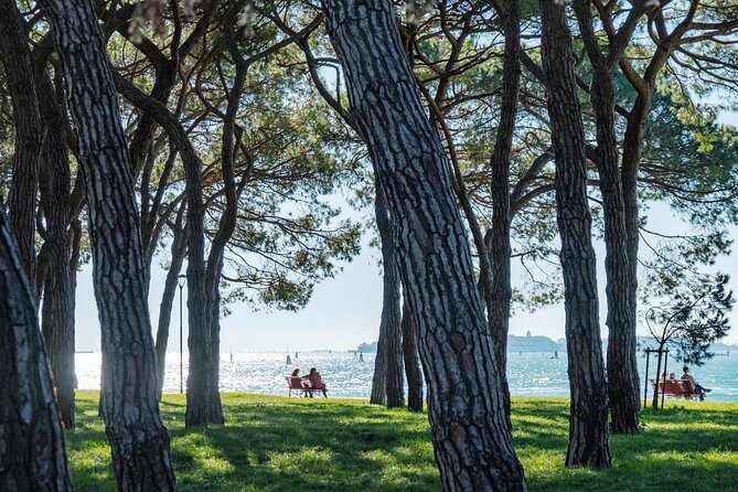 Punta Sabbioni to Venice Round-Trip Boat Ticket - Reviews