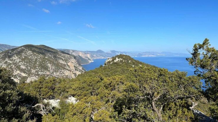 Punta Salinas: Buggy Excursion From Baunei - Pricing and Duration