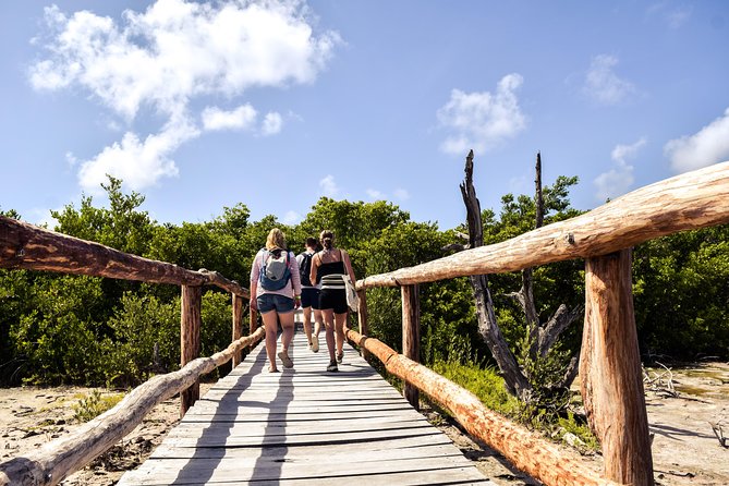 Punta Sur Eco Beach Park Electric Bike Tour in Cozumel - Tour Details