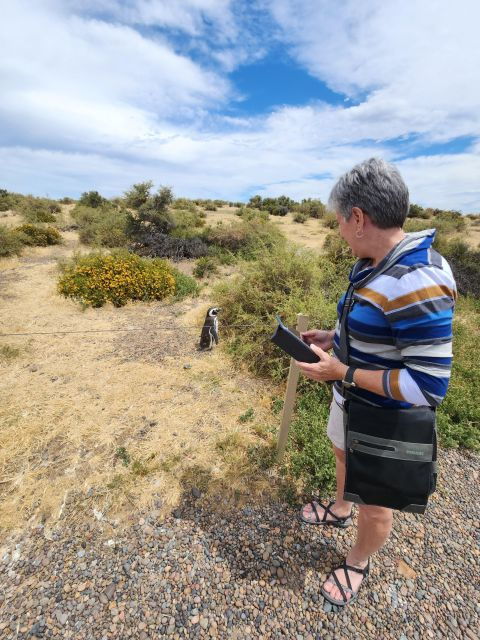 Punta Tombo Shore Excursion Box Lunch and Tickets Included - Return Details and Timing
