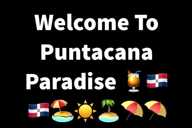 Puntacana Airport PRIVATE Transfers TO/hotels VIP SERVICES vices - What to Know About the Vehicles
