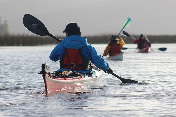Punucapa Nature Sanctuary, Wetlands, Biodiversity and Culture - Location and Accessibility