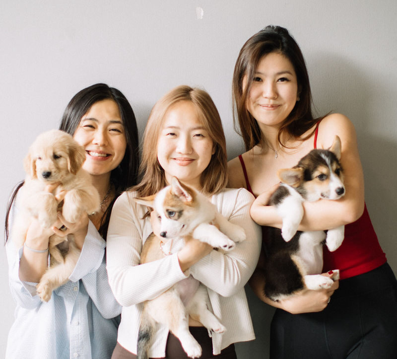 Puppy & Kitten Yoga Therapy with Photo Experience in Bangkok - What makes this Furapy session different