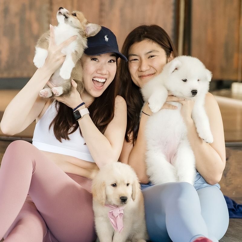 Puppy & Kitten Yoga Therapy with Photo Experience in Bangkok - A yoga class with paws underfoot