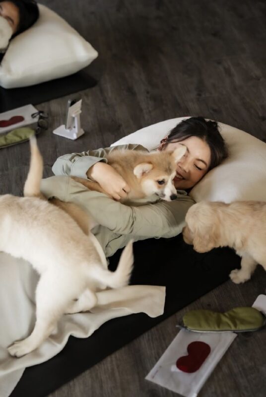 Puppy & Kitten Yoga Therapy with Photo Experience in Bangkok - Photos, Polaroids and the small extras