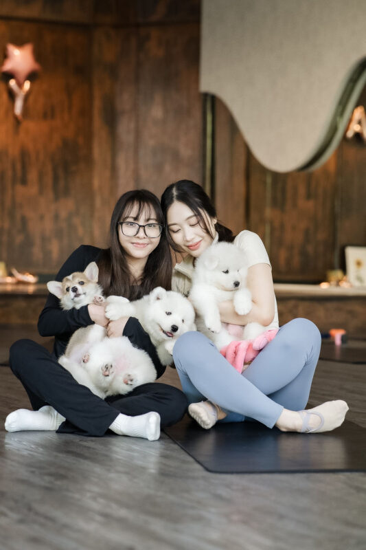 Puppy & Kitten Yoga Therapy with Photo Experience in Bangkok - Getting to Furapy Yoga in Bang Na