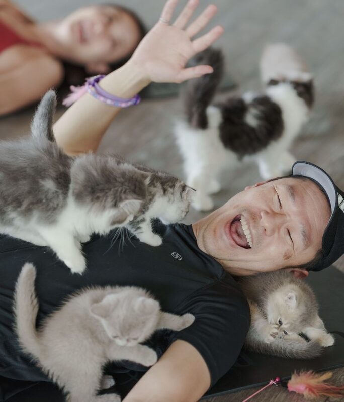 Puppy & Kitten Yoga Therapy with Photo Experience in Bangkok - What the price includes, and what it is worth