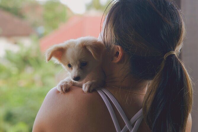Puppy Yoga Bali, Ubud - 1 Thing to Do in Bali - Good To Know