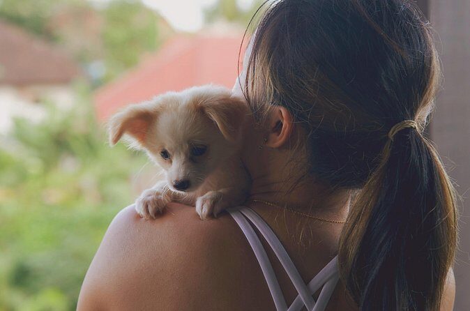 Puppy Yoga Bali, Ubud - 1 Thing to Do in Bali - Who Will Enjoy Puppy Yoga?