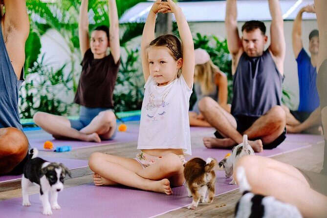 Puppy Yoga in Bali Canggu - An In-Depth Look at Puppy Yoga in Canggu