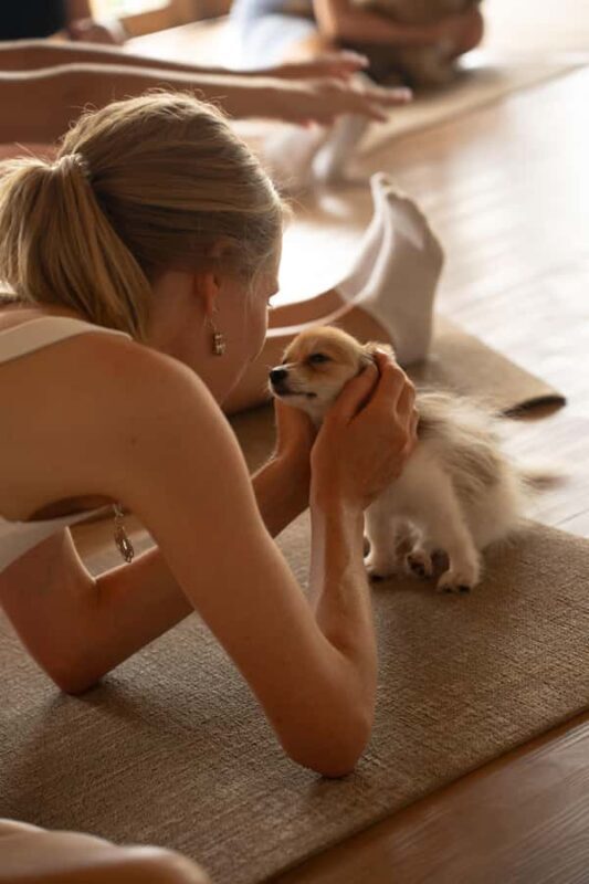 Puppy Yoga in Bali, Ubud & Uluwatu - Final Thoughts