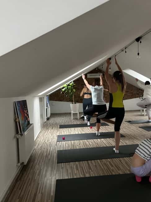 Puppy Yoga in Riga - The Sum Up