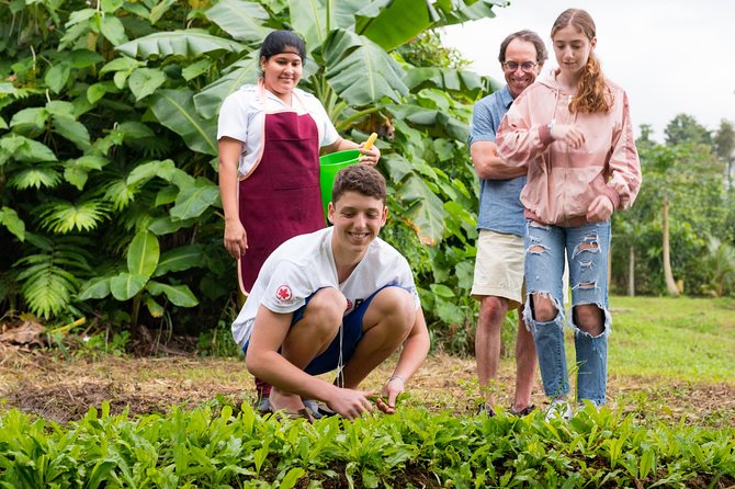 Pura Vida Cooking Class in La Fortuna (From Farm to Table) - Sample Menu Delights