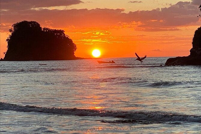 Pura Vida Day Trip - Tour Details