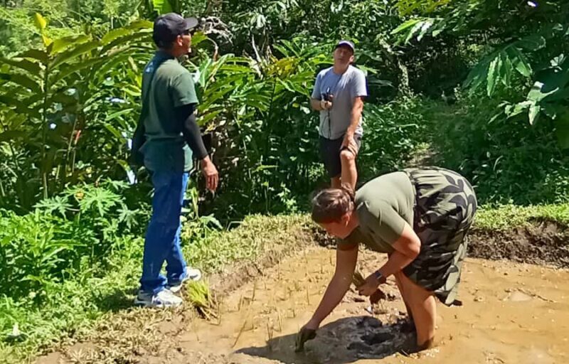 Pure Bali Village Experience Cooking & Jamu Class, Transfer - Good To Know