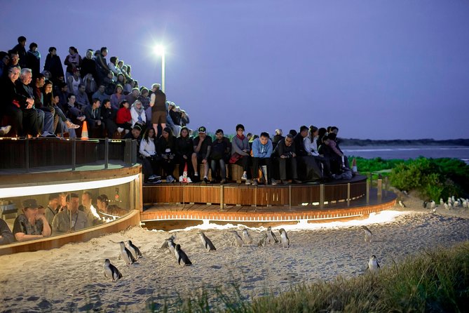 Pure Nature - Phillip Island, Penguins & Exclusive Wildlife Sanctuary Encounter - Meeting and Pickup