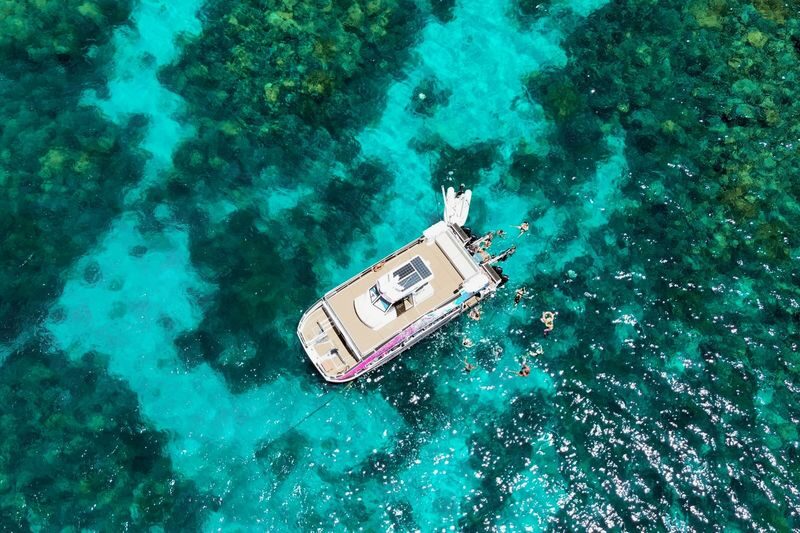 Pure Snorkelling Half Day Great Barrier Reef Tour - A short afternoon, focused on the reef