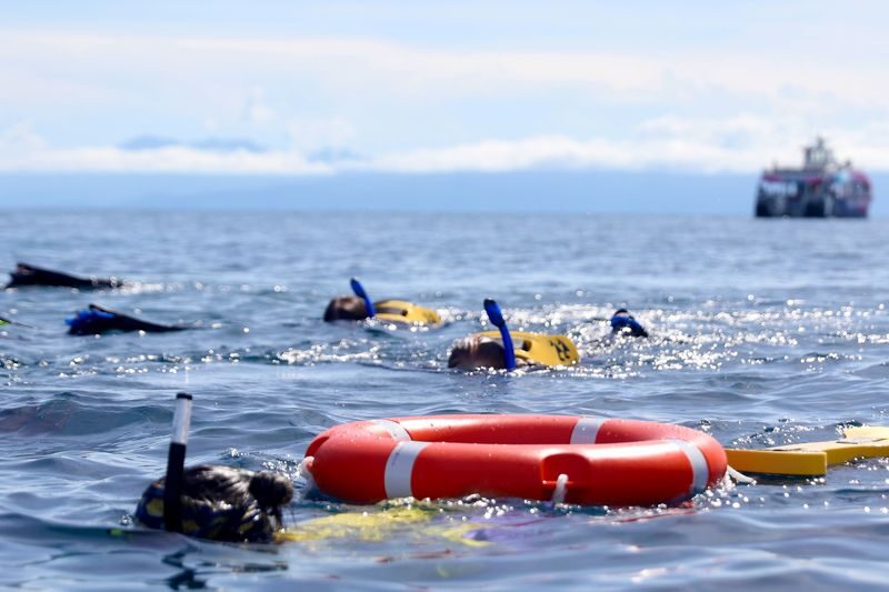 Pure Snorkelling Half Day Great Barrier Reef Tour - Check in at D Finger, then head offshore