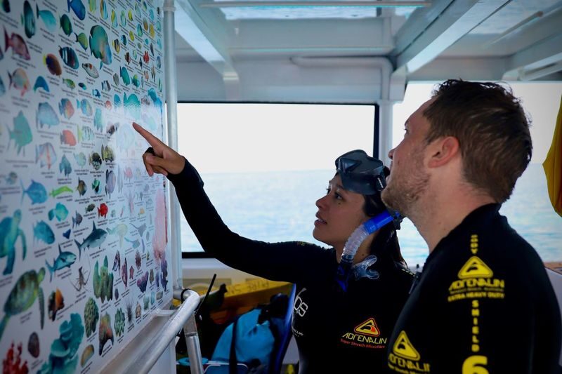 Pure Snorkelling Half Day Great Barrier Reef Tour - Two hours to explore a reef selected for the day