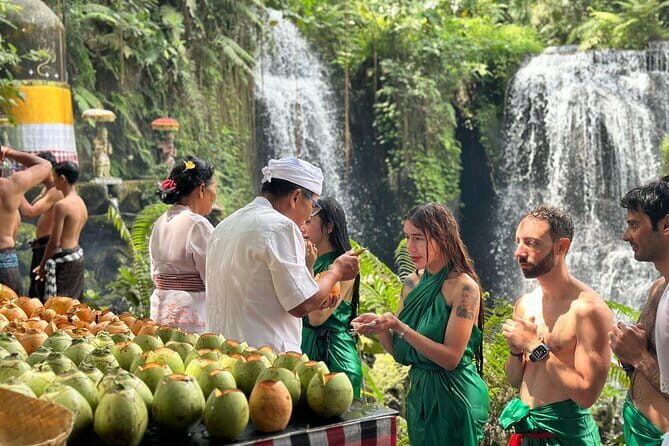 Purification Ceremony, Kehen Temple and Goa Raja Waterfall Tour - Who Will Love This Tour?