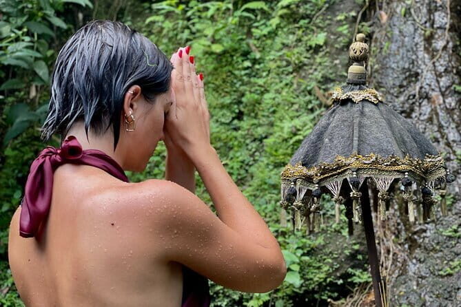 Purification Ceremony, Kehen Temple and Goa Raja Waterfall Tour - Final Thoughts