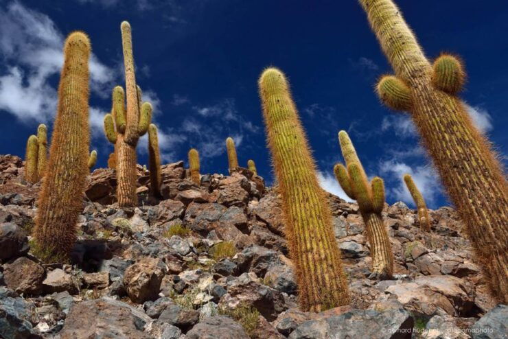 Purilibre Trekking - Booking Information