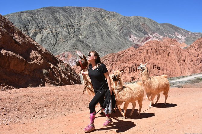 Purmamarca Walk With Llamas - Overview of the Experience