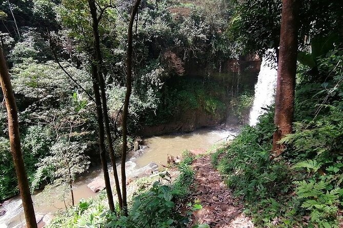 Purple Tea Farm Private Tour From Nairobi - Booking and Cancellation Policy