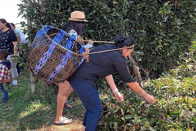 Purple Tea Farm Private Tour From Nairobi - Additional Information