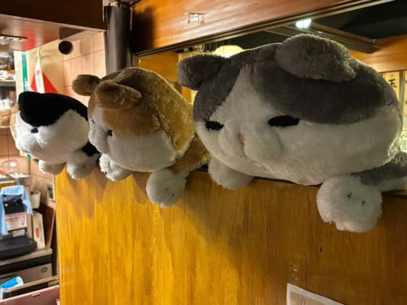 Purrrrfect Osaka Cook'n'eats - What is Purrrrfect Osaka Cookneats?