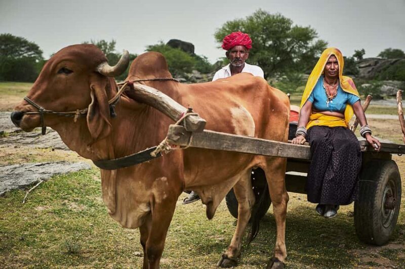 Pushkar/Ajmer: Devmali Rural Village Day Tour - The Full Experience: A Deep Dive into Devmalis Charm