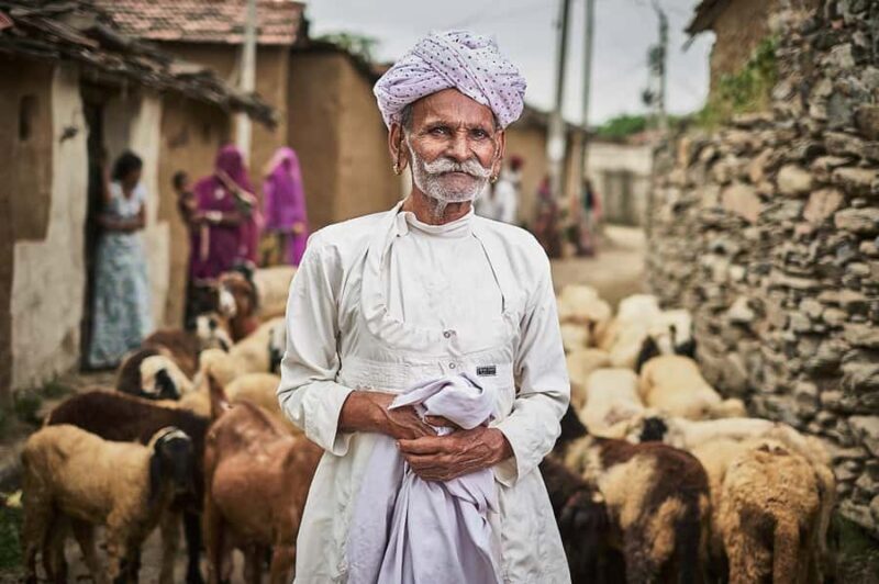 Pushkar/Ajmer: Devmali Rural Village Day Tour - Transportation, Group Size, and Value