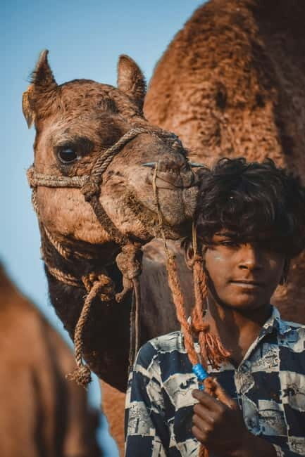 Pushkar: Camel Sunset Safari Adventure - The Sum Up