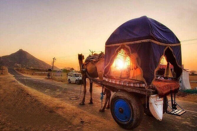 Pushkar Cultural Day Trip from Jaipur - Exploring the Itinerary in Detail