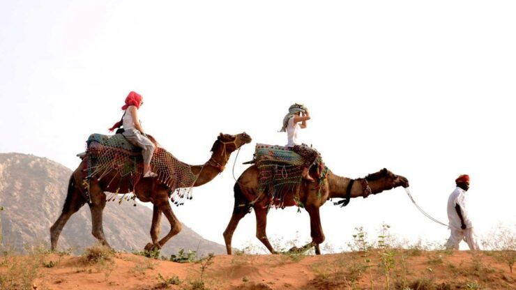 Pushkar Day Trip With Camel Safari From Jaipur by Car. - Itinerary
