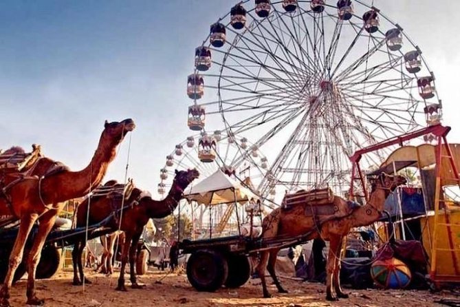 Pushkar Fair Festival - Location and Duration