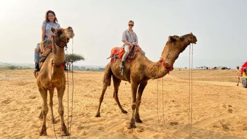 Pushkar Full Day Tour from Jaipur - What’s Included and What’s Not