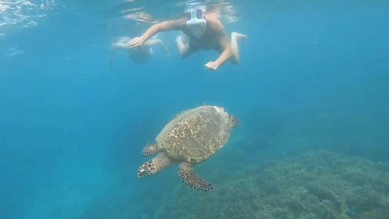 Pusuk Monkey Forest Lombok, Ghost Villa,and the Three Gilis - Good To Know  