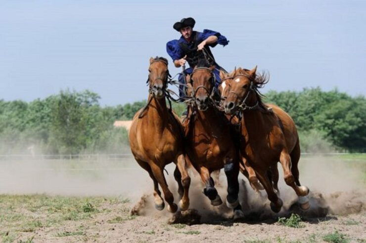 Puszta Full-Day Tour From Budapest With Lunch - Experience Highlights
