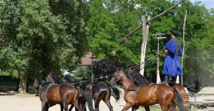 Puszta Tour and Horse Show - Activity Details