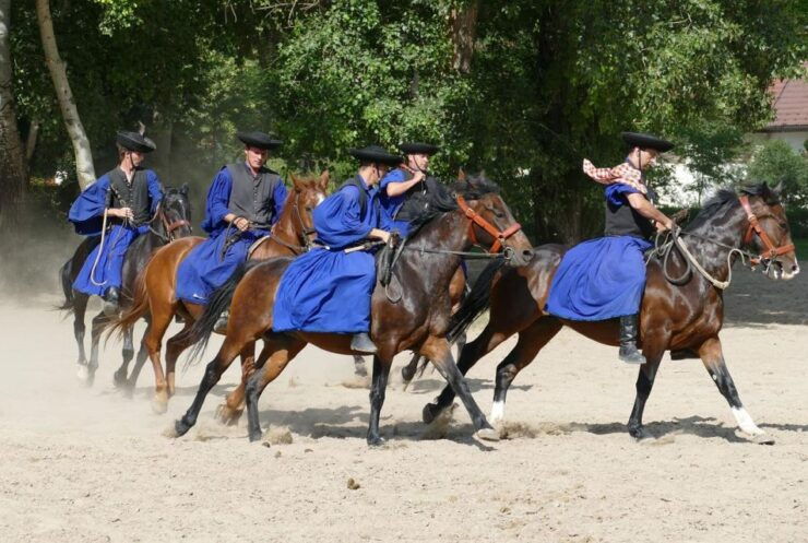 Puszta Tour and Horse Show - Experience Highlights