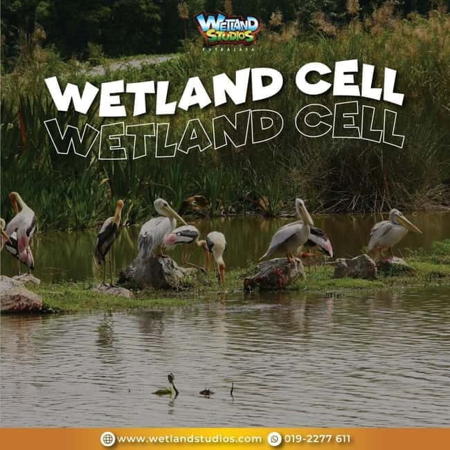Putrajaya: Wetland Studios Admission Ticket - What to Expect at Wetland Studios Putrajaya